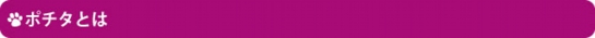 ポチタとは